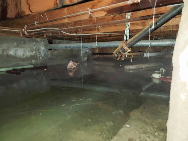 Best Fire Damage Restoration  in Tainter Lake, WI