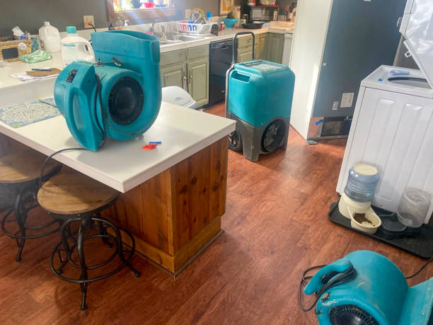 Best Water damage restoration near me  in Tainter Lake, WI
