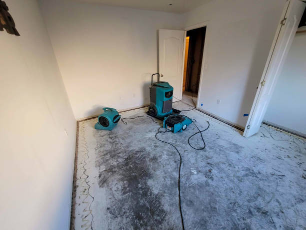 Best Professional water damage repair  in Tainter Lake, WI