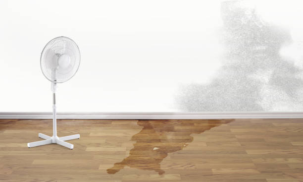 Best Flood restoration services  in Tainter Lake, WI