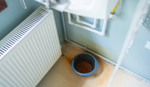 Best Water damage mitigation services  in Tainter Lake, WI