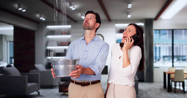 Best Local water damage restoration  in Tainter Lake, WI