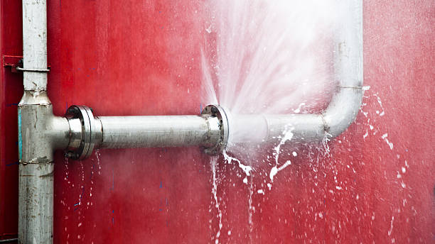 Best Water damage contractors near me  in Tainter Lake, WI